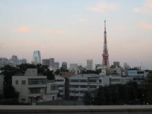 ヒルズの夕日