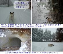 すげー雪！