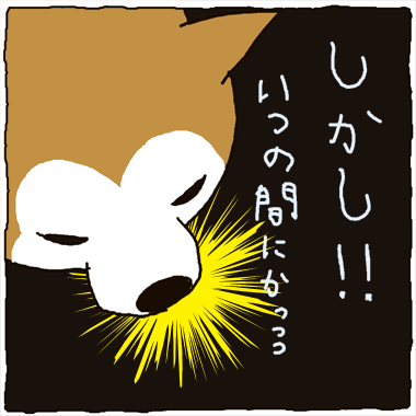 黒柴さんと赤柴さんの日常-いつの間にか3