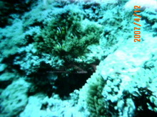 070412_165842.jpg