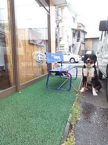 20080519112219.jpg