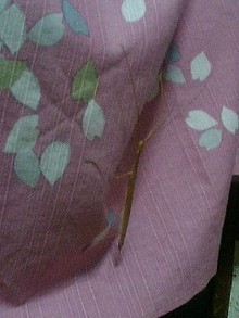 070901_2146~0001.jpg