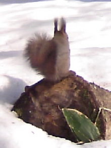 080330_0902~01.JPG