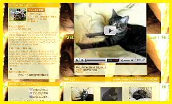 JELL-O the cat TVを開くよ