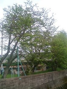 070420_0643~0001.jpg