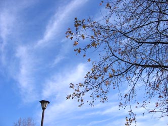 .:.:*.:.:☆　Blog　☆:.:.*:.:.　-空