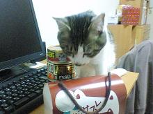 しーたんありがとーにゃ
