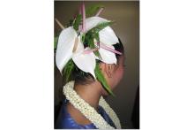 anthurium