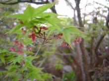 f03