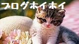ブログ猫