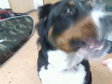 20080509132713.jpg