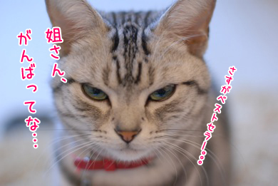 バンビ&ヒメ