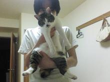 ほりょ。