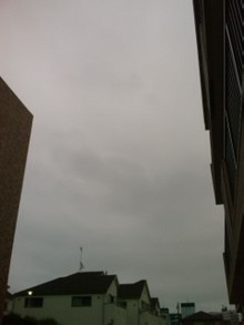 0_IMAG0069.jpg
