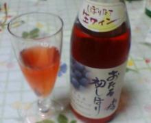 オレンジトマトの日々