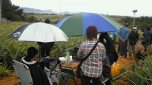 野波麻帆オフィシャルブログ「maho-maho-mango!」powered by Ameba-Image040.jpg