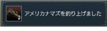 アメリカナマズ