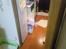 遠くから撮影してるの知ってるにゃ