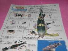 ネコギギ