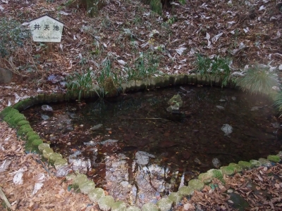 あっことひろの楽しい山登り日記
