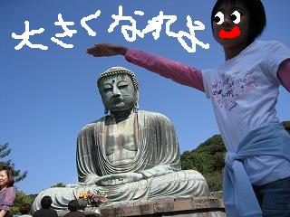 お～良し良し