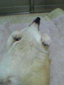 20060719