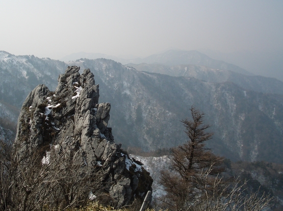 三