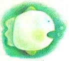 MONBO