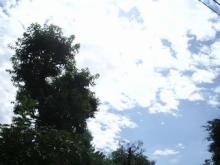 青い空