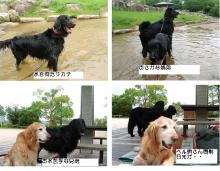 公園にて
