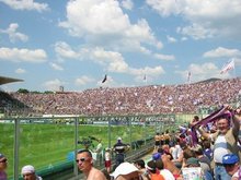 fiorentina_brescia02