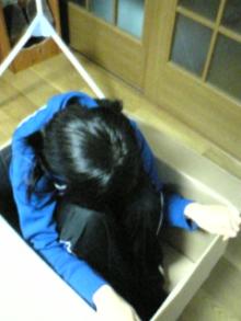 箱入り