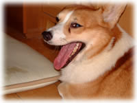 20050823_1