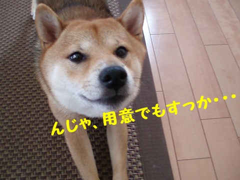 用意