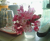 200806021547001.jpg