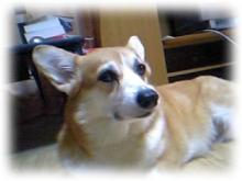20051024_1