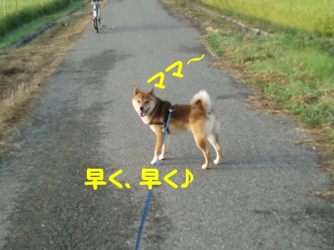 ママ~