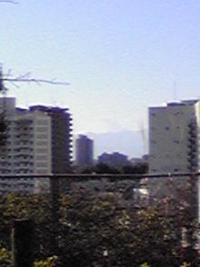 平和な離婚調停人のブログ-池上本門寺からの富士山
