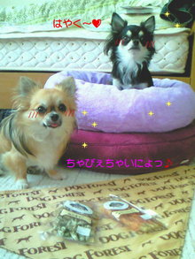 200807162012000.jpg