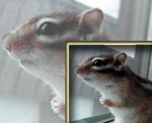 ミニ本3