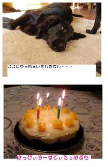 ばるちの誕生日