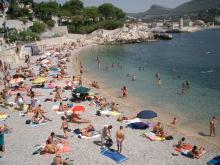 cassis