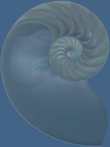 shell-blue