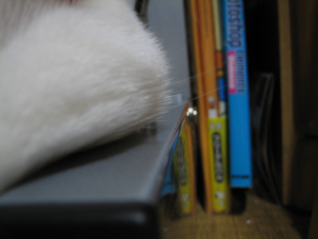 ���⤹�뾮�ǥ�ǭ