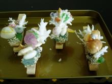 無人島スーベニア-00s0007