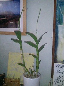 070710_0641~0001.jpg