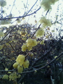 200802011015000.jpg