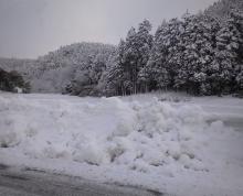 20080218雪02