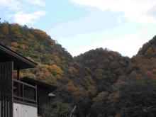 山