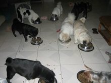 食事